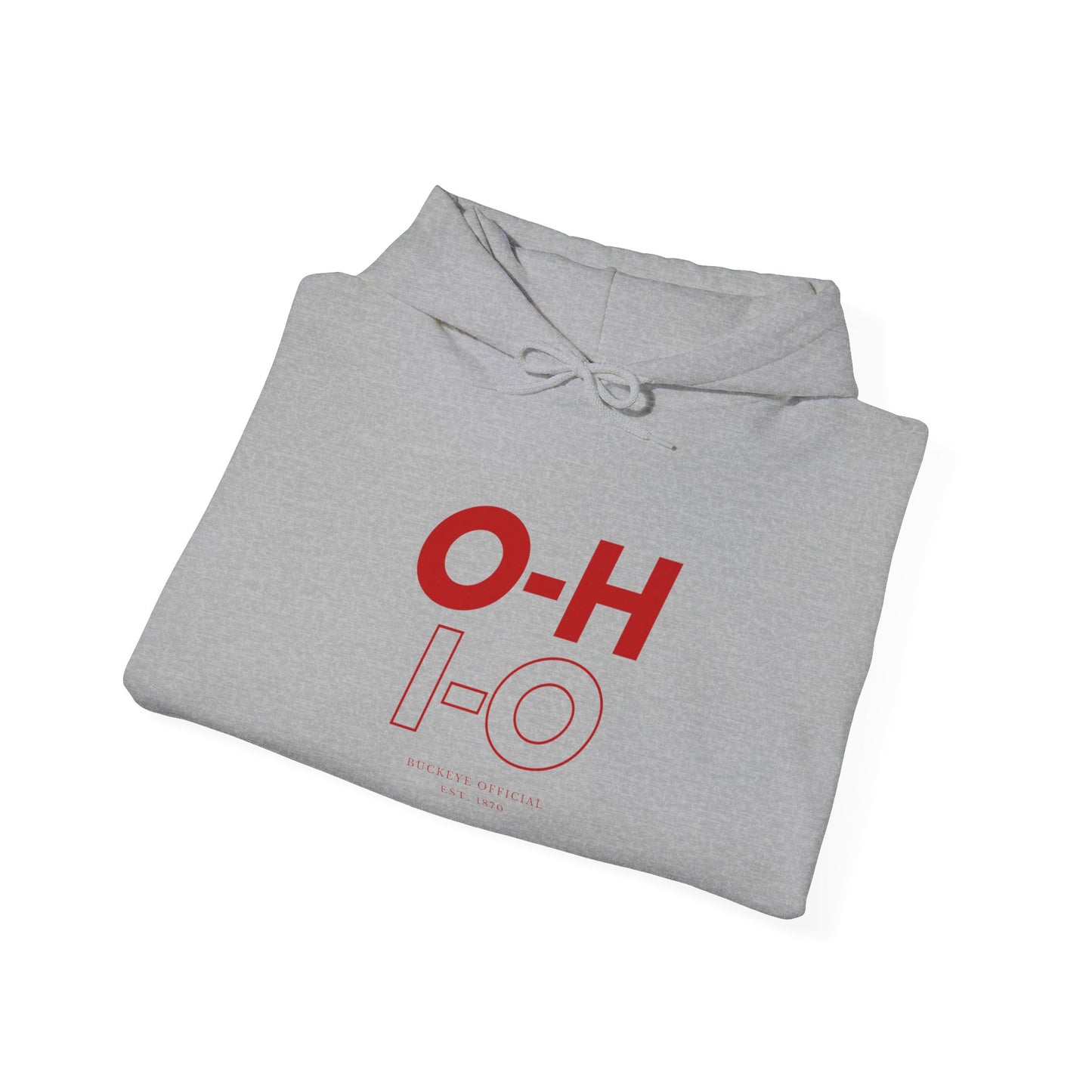 O-H I-O Hoodie