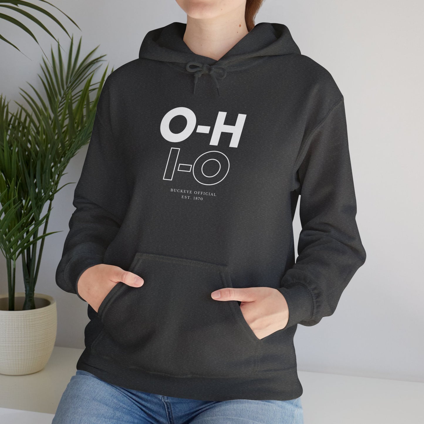 O-H I-O Hoodie